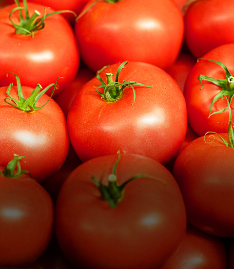 PROTECCIÓN DE CULTIVOS