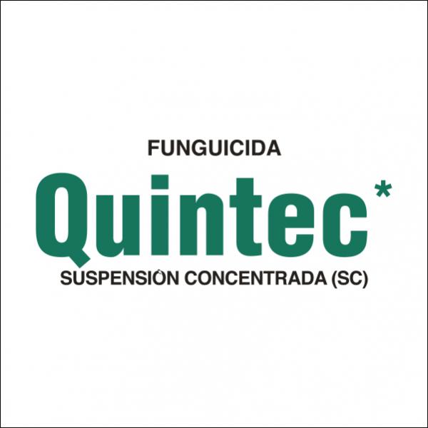 Quintec